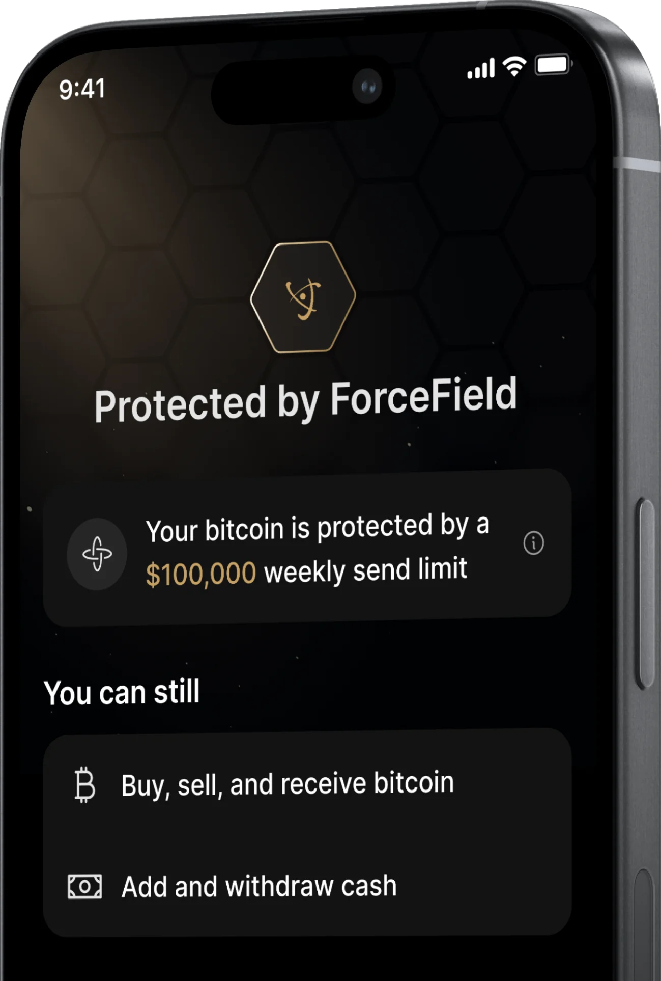 Bitcoin security protection